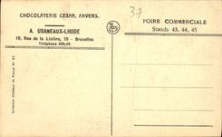 CPA Chateaux de la Loire Chateau d'Azay le Rideau pres Tours Facade occidentale 