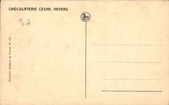 CPA Chateaux de la Loire Chateau d'Azay le Rideau pres Tours 