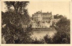 CPA Le Chateau d'Amboise vu des bords de la Loire 