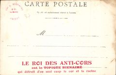 CPA Chateau d'Azay le Rideau Indre et Loire 