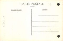 CPA Amboise I et L le Chateau vu du l'Ile Saint Jean 