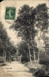 CPA Saint Nom la Breteche S et O Foret de Marly Chemin de la Gare 