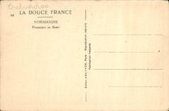 CPA La Douce France Normandie Pommiers en fleurs 