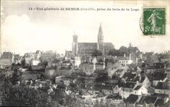 CPA Vue generale de Semur Cote d'Or prise du bois de la Loge 