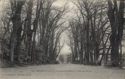 CPA Rennes Le Jardin des Plantes L'allee des Chenes 