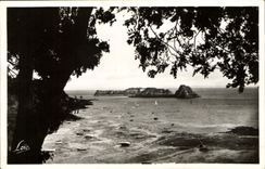 CPA Cancale Rocher de Cancale et Fort des Rimains 