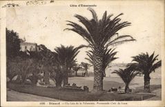 CPA Dinard Un Coin de la Palmerale Promenade Clair de Lure 