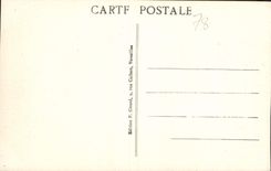 CPA Versailles Allee Royale et Bassin d'Apollon 