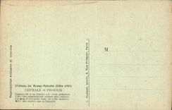 CPA Chateau de Bussy Rabutin Cote d'Or Cephale et Proeris