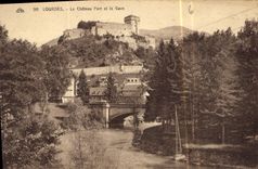 CPA Lourdes Le Chateau Fort et le Gave 