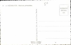 CPA La Normandie Matinee printaniere Vaches