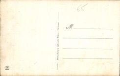 CPA Lourdes L'Esplanade et la Basilique 