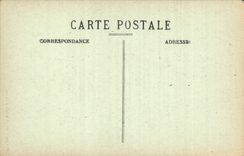 CPA Lourdes La Basilique vue Plongeante 