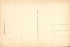 CPA Lourdes La Basilique et la Grotte 