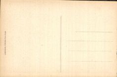 CPA Lourdes La Grotte et la Basilique 