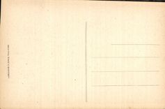 CPA Lourdes La Vierge a la Grotte 