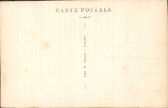 CPA Lourdes La Basilique vue du Chateau Fort 