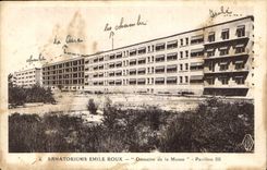 CPA Sanatoriums Emile Roux Domaine de la Musse Pavillon III 