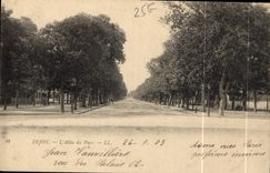 CPA Dijon L'Allee du Parc 