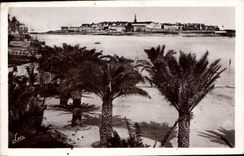 CPA Dinard La Palmeraie dans le lointain Saint Malo 