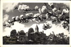 CPA Heureuses Paques Fleurs
