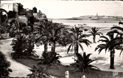CPA Dinard La Palmeraie Au fond Saint Malo 