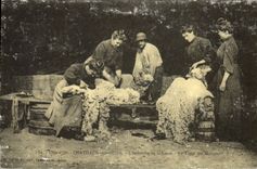 REPRO Cote d'Or Chatillon sur Seine 