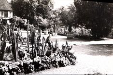 CPA Dijon Cote d'Or Un coin des Jardins de l'Arquebuse 