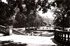 CPA Dijon Cote d'Or Promenade Darcy 