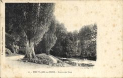 CPA Chatillon sur Seine Source des Ducs 