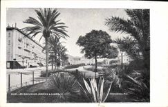 CPA Nice Les Nouveaux Jardins Casino 