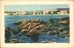 CPA Cannes Les grands Hotels 