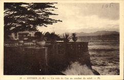 CPA Antibes AM Un coin du Cap au coucher du soleil 