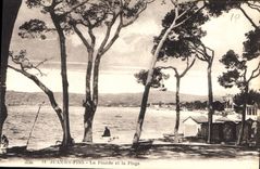 CPA Juan les Pins La Pinede et la Plage 