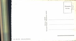 CPA Menton Allee des Palmiers 