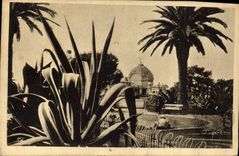 CPA Nice Alpes Maritimes Jardin Albert 1er