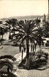 CPA Nice AM La Promenade des Anglais et ses Palmiers 
