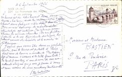CPA Nice AM La Promenade des Anglais et ses Palmiers 