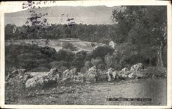 CPA Les oliviers du cap d'Antibes 