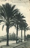 CPA Nice La Jetee Promenade entre les Palmiers 
