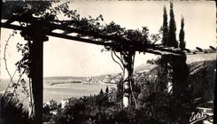 CPA Menton Vue generale prise de la Villa 