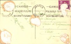 CPA Nice Les Palmiers du Jardin Public 