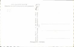 CPA La Cote d'Azur Coucher de soleil a travers les pins parasols 