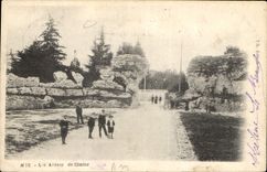 CPA Nice Les Arenes de Cimiez 