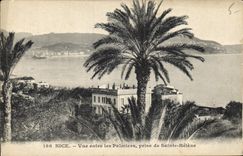 CPA Nice Vue entre les Palmiers prise de Sainte Helene 