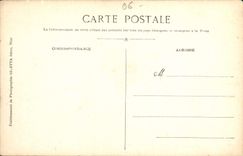 CPA Nice Vue entre les Palmiers prise de Sainte Helene 