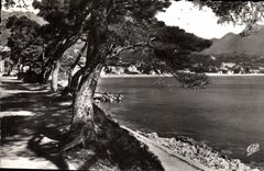 CPA Menton La promenade du Cap Martin 