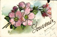 CPA Fleurs