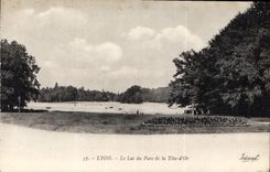 CPA Lyon Le Lac du Parc de la Tete d'Or 