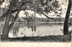 CPA Lyon Parc de la Tete d'Or Vue sur le Lac 